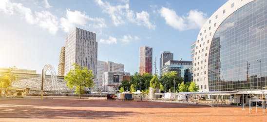Rotterdam highlights 3-hour bike tour